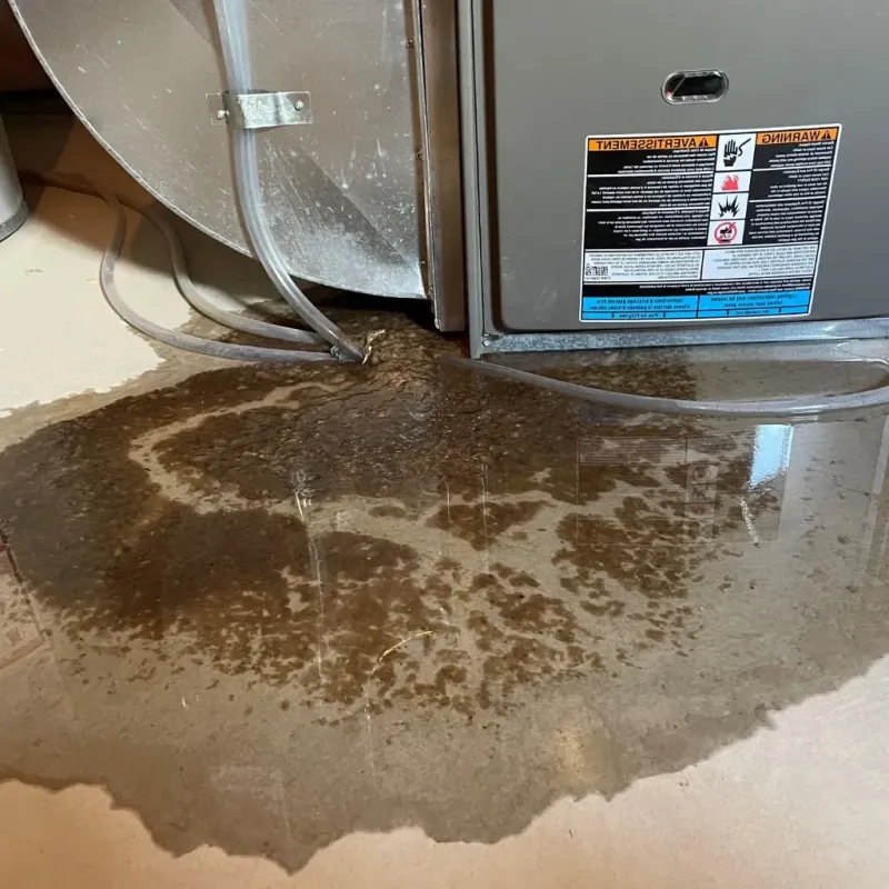 Pipe Burst and Leak Restoration in Cincinnati, OH