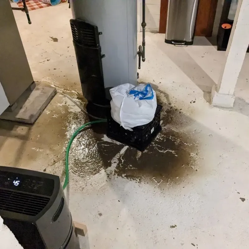 Sewage Backup Cleanup Service in Cincinnati, OH